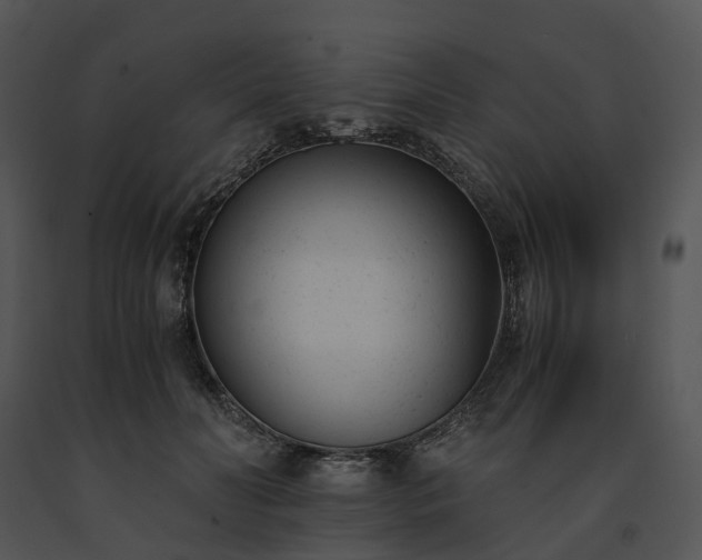 X0000091660606200708301440