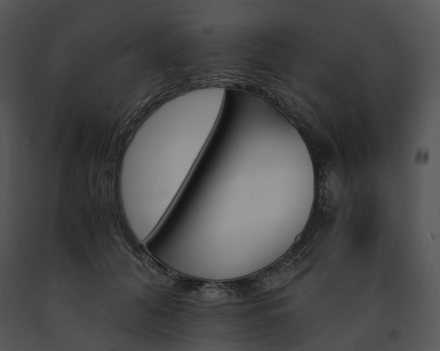 X0000091660608200708301440