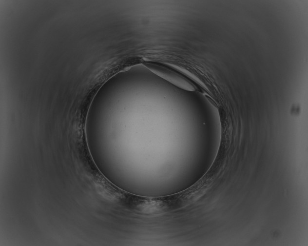 X0000091660609200708301440