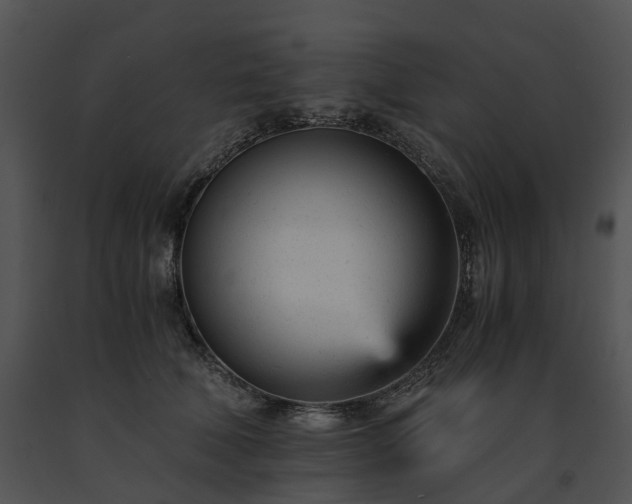 X0000091660610200708301440