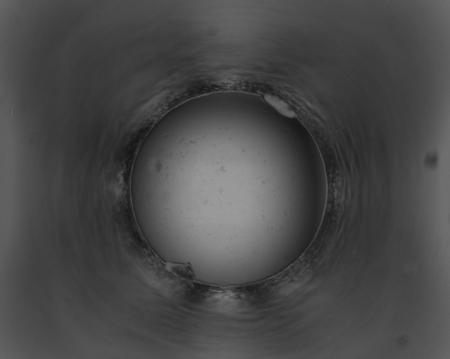 X0000091660611200708301440