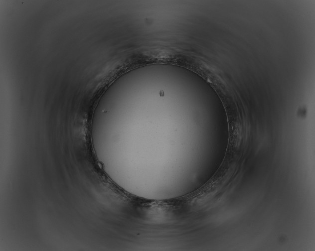 X0000091660612200708301440