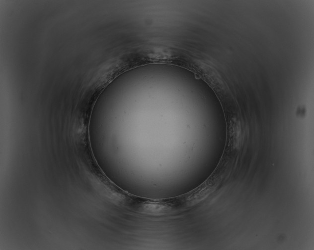 X0000091660614200708301440