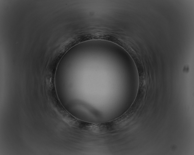 X0000091660615200708301440