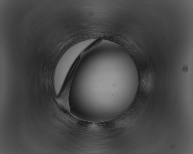 X0000091660616200708301440