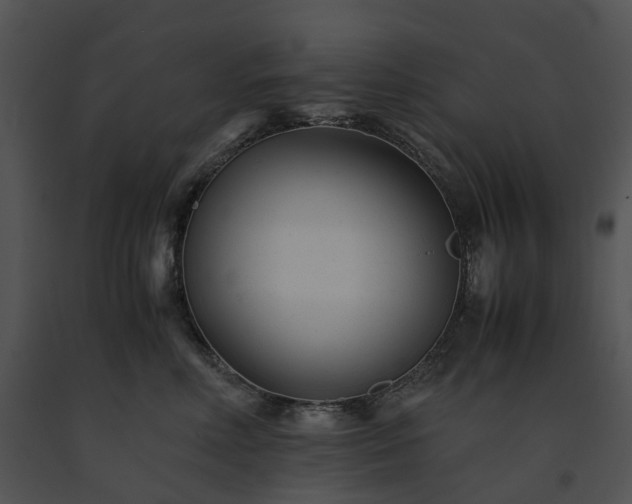 X0000091660618200708301440