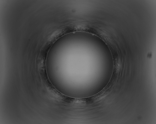 X0000091660619200708301440