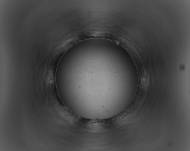 X0000091660620200708301440
