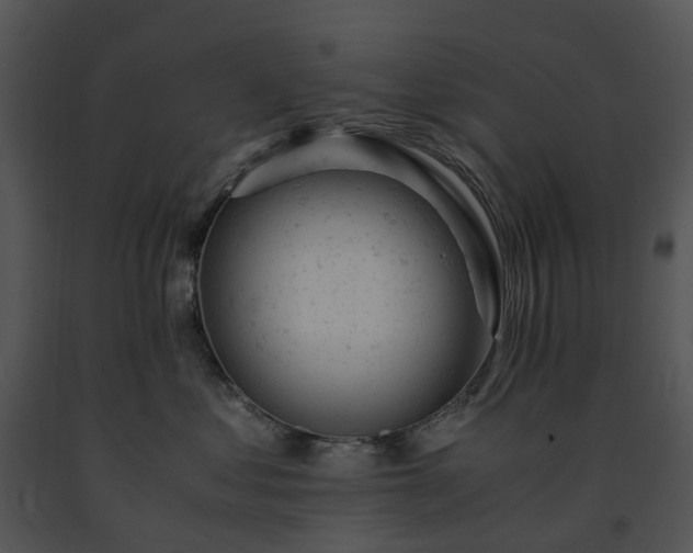 X0000091660621200708301440