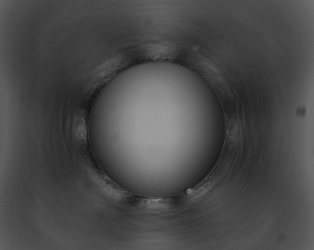 X0000091660622200708301440