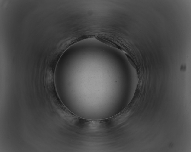 X0000091660623200708301440