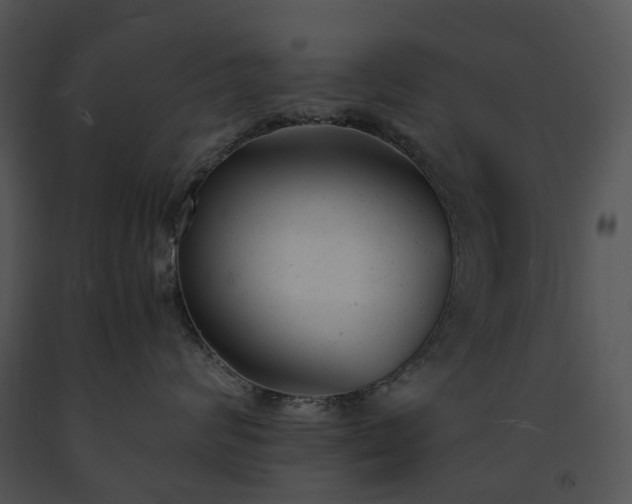 X0000091660624200708301440
