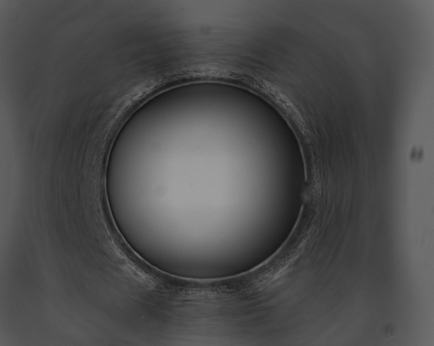 X0000091660625200708301439