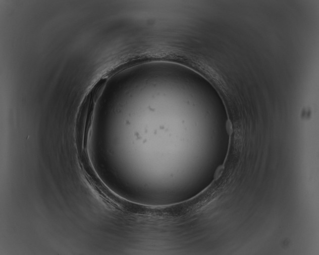 X0000091660626200708301439