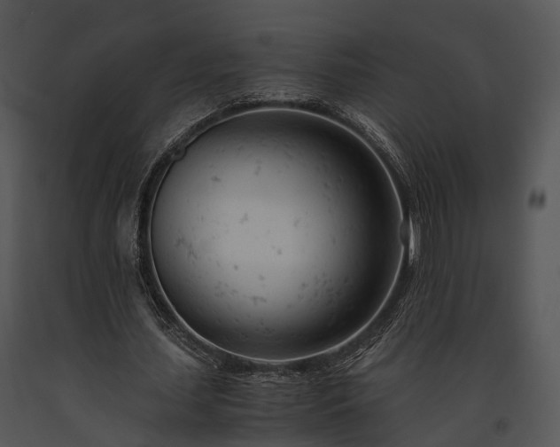 X0000091660627200708301439