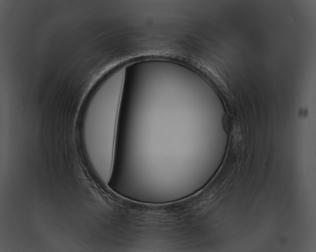 X0000091660628200708301439