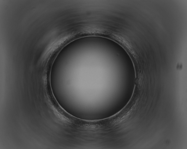 X0000091660629200708301439