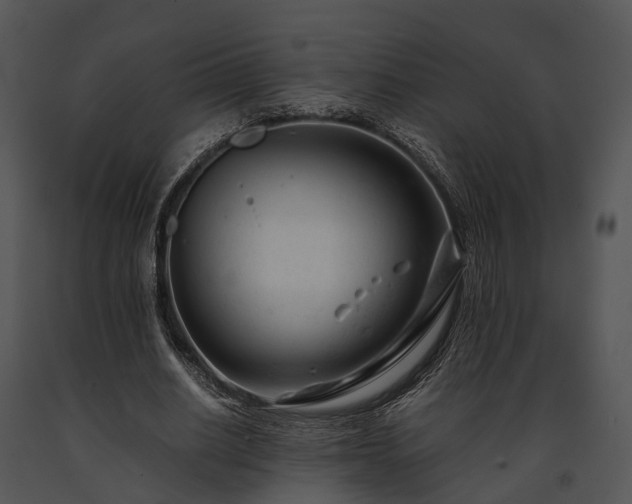 X0000091660630200708301439
