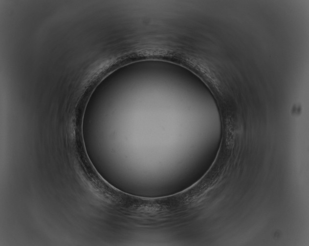 X0000091660631200708301439