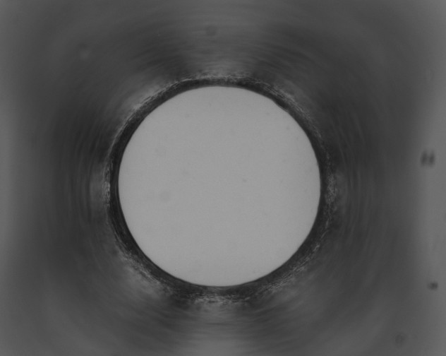 X0000091660632200708301439