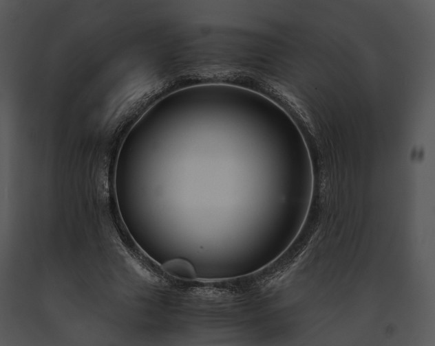X0000091660633200708301439