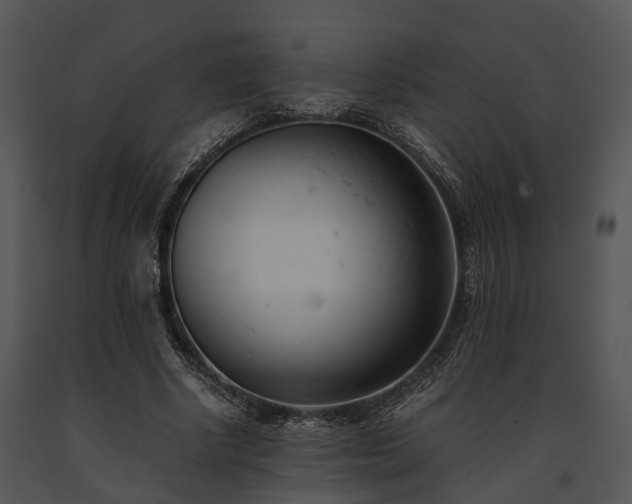 X0000091660634200708301439