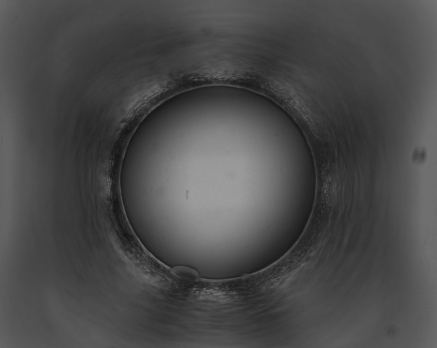 X0000091660635200708301439