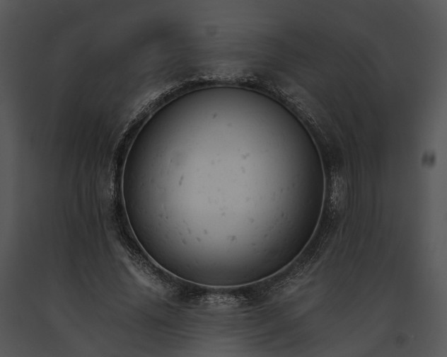 X0000091660636200708301439