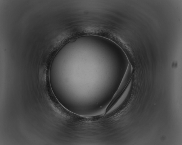 X0000091660637200708301439