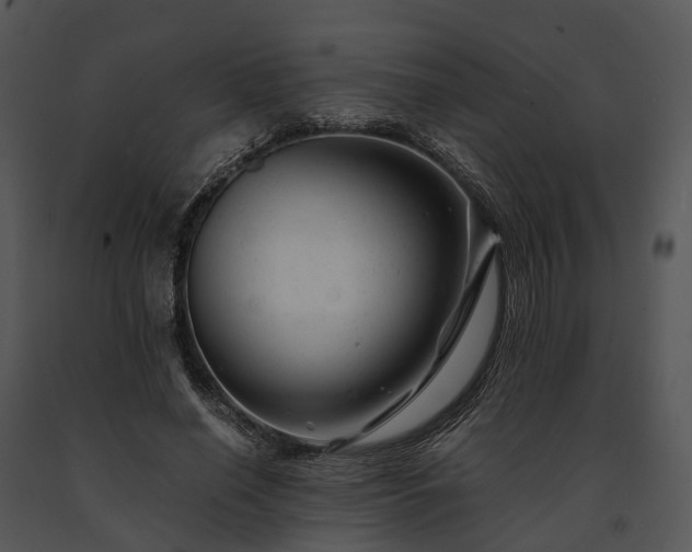 X0000091660638200708301439