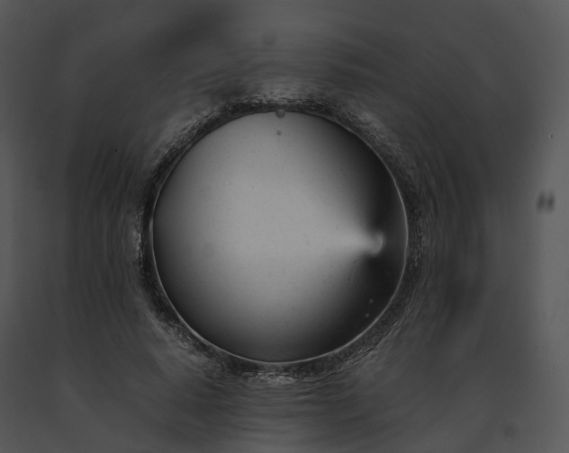 X0000091660640200708301439