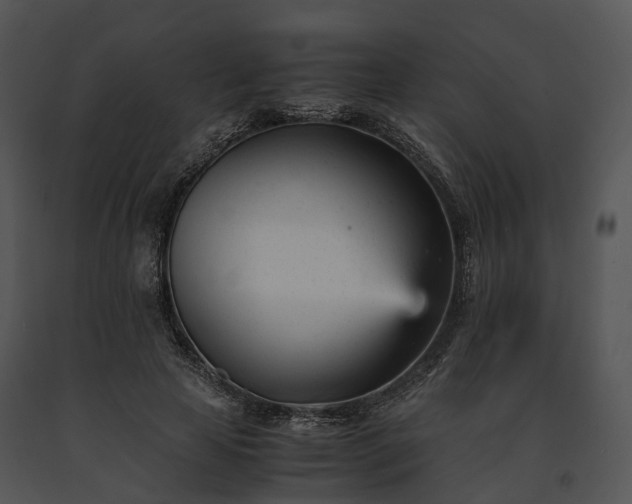 X0000091660641200708301439