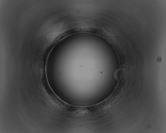 X0000091660642200708301439