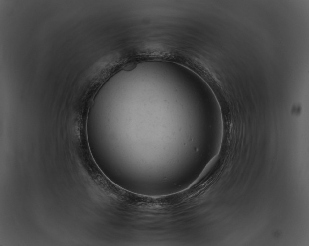 X0000091660643200708301439