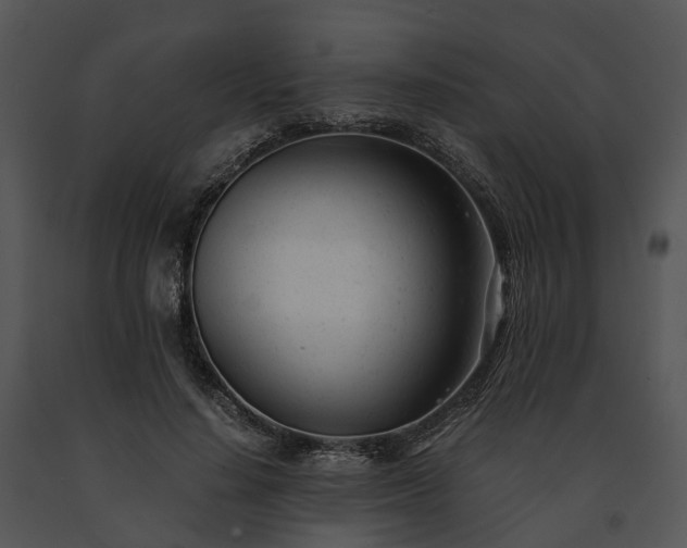 X0000091660644200708301439
