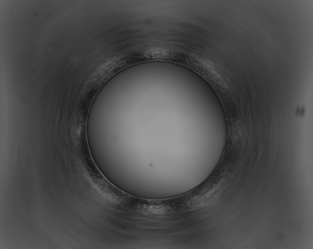 X0000091660645200708301439