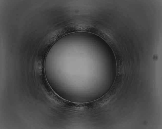X0000091660646200708301439