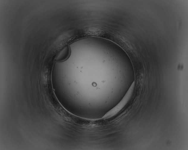 X0000091660647200708301439