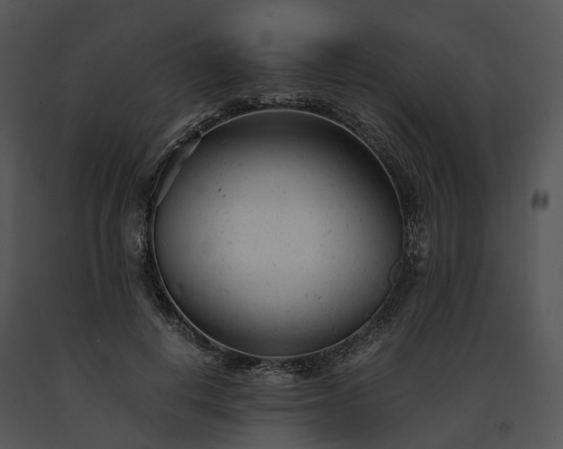 X0000091660648200708301439