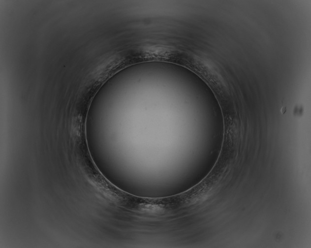 X0000091660649200708301439