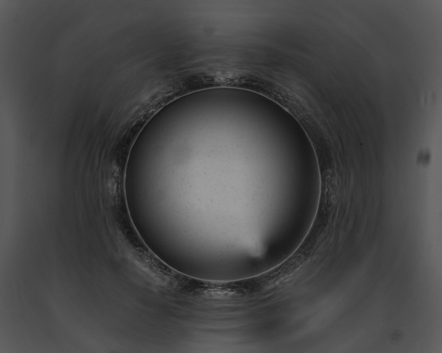 X0000091660650200708301440