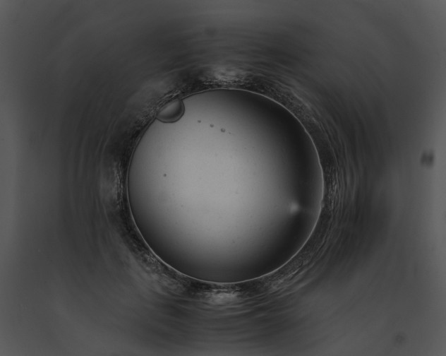 X0000091660651200708301440
