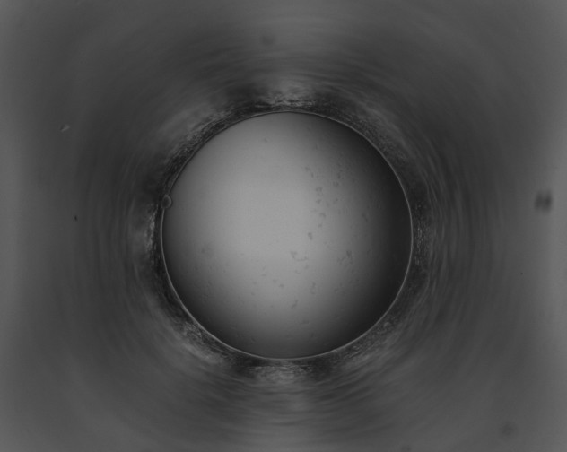 X0000091660652200708301440