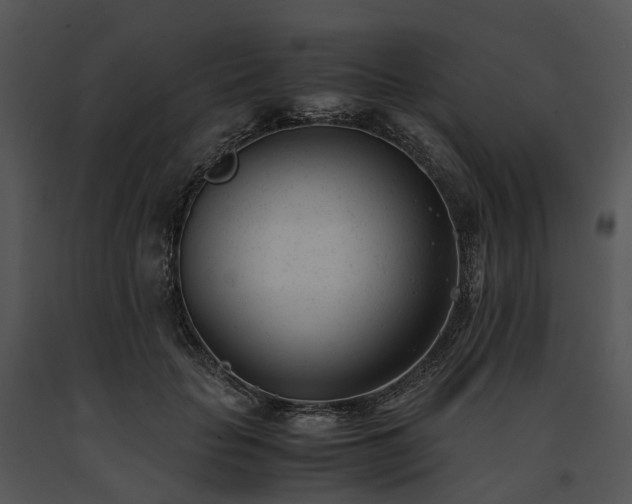 X0000091660653200708301440