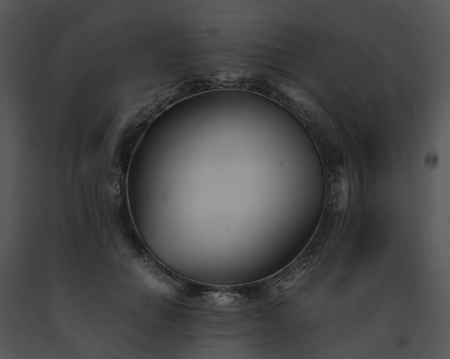 X0000091660654200708301440