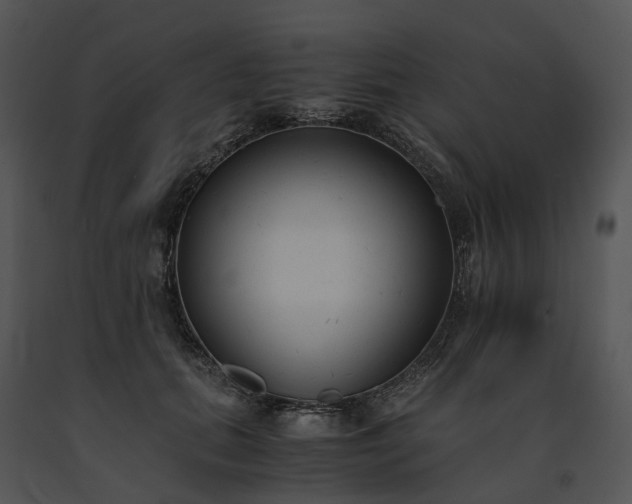 X0000091660655200708301440