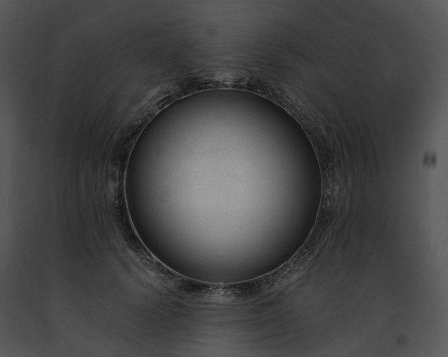 X0000091660656200708301440