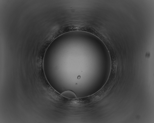 X0000091660657200708301440