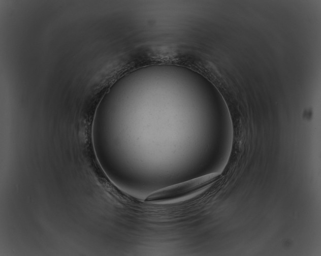 X0000091660658200708301440