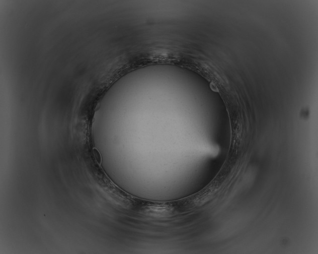 X0000091660659200708301440